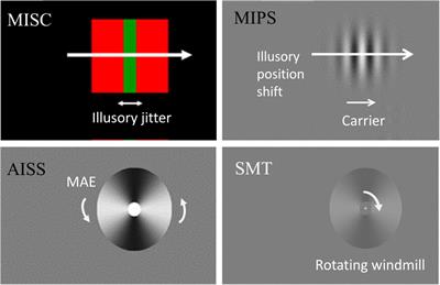 Exploring the Common Mechanisms of Motion-Based Visual Prediction